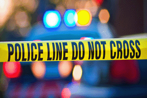 paralegal criminal cases